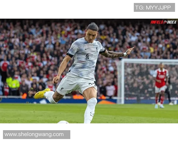 努涅斯在赛场上的崛起与挑战解析及未来发展展望