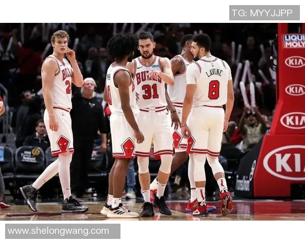 奇才与公牛的历史对决分析及球队发展全景探讨