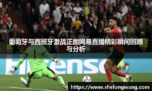 葡萄牙与西班牙激战正酣网易直播精彩瞬间回顾与分析