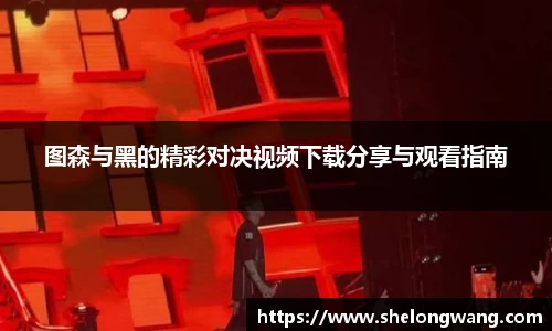 图森与黑的精彩对决视频下载分享与观看指南
