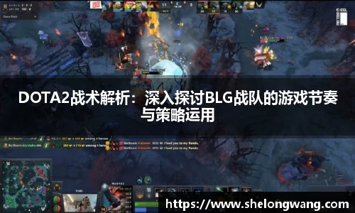 VSport胜利因您更精彩